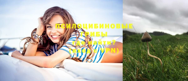 спайс Заволжск