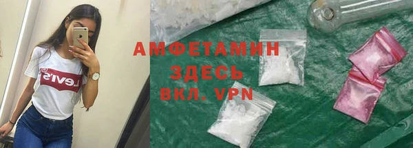 PSILOCYBIN Заводоуковск