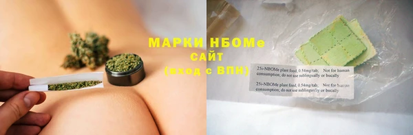 PSILOCYBIN Заводоуковск
