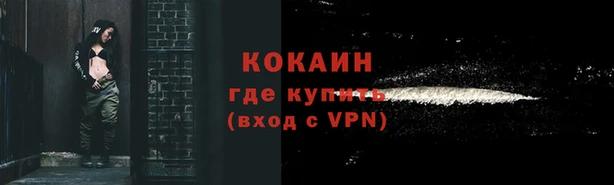 PSILOCYBIN Заводоуковск