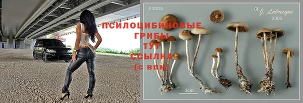 дурь Елабуга