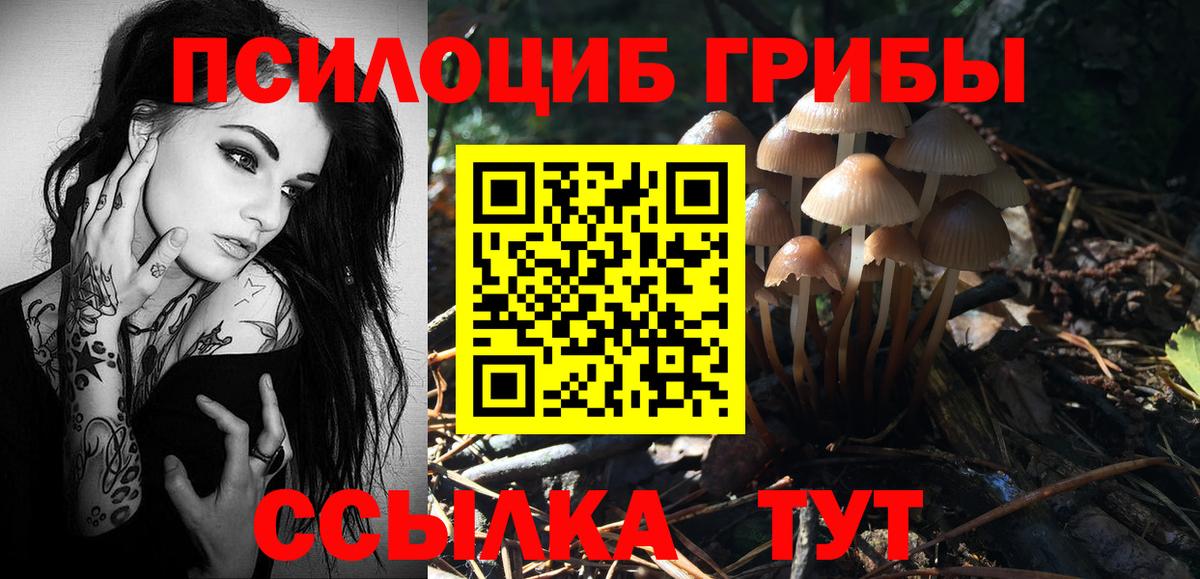 Коммунар  Галлюциногенные грибы Cubensis  Вход с VPN  наркота  Галлюциногенные грибы прущие грибы 